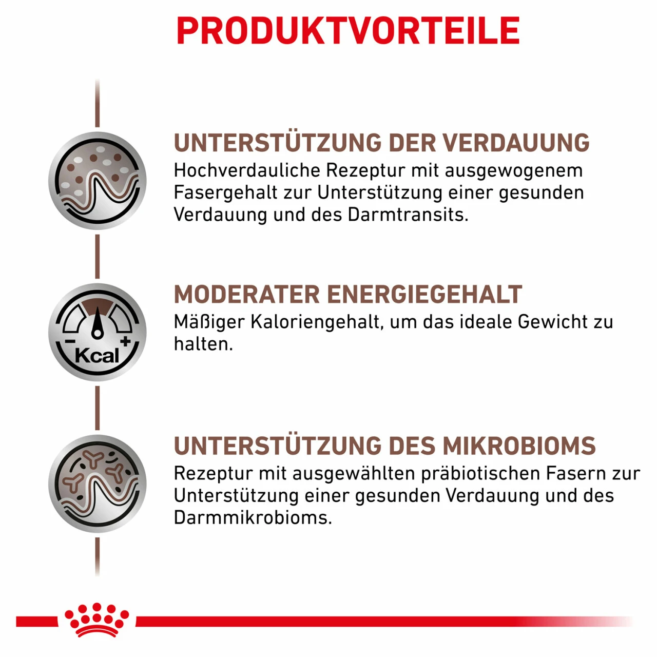 Royal Canin Gastrointestinal Moderate Calorie Trockenfutter Für Katzen 4 Royal Canin Gastrointestinal Moderate Calorie Trockenfutter Für Katzen – Bild 4