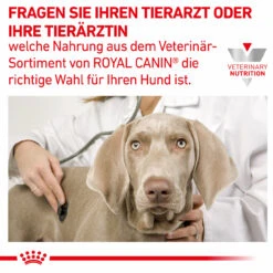 Royal Canin Hepatic Trockenfutter Für Hunde 15 Royal Canin Hepatic Trockenfutter Für Hunde -Geschäft Für Tierbedarf royal canin hepatic trocken hund8
