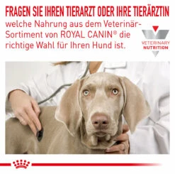 Royal Canin Hypoallergenic Small Dogs Trockenfutter Für Hunde -Geschäft Für Tierbedarf royal canin hypoallergenic small dogs hund3