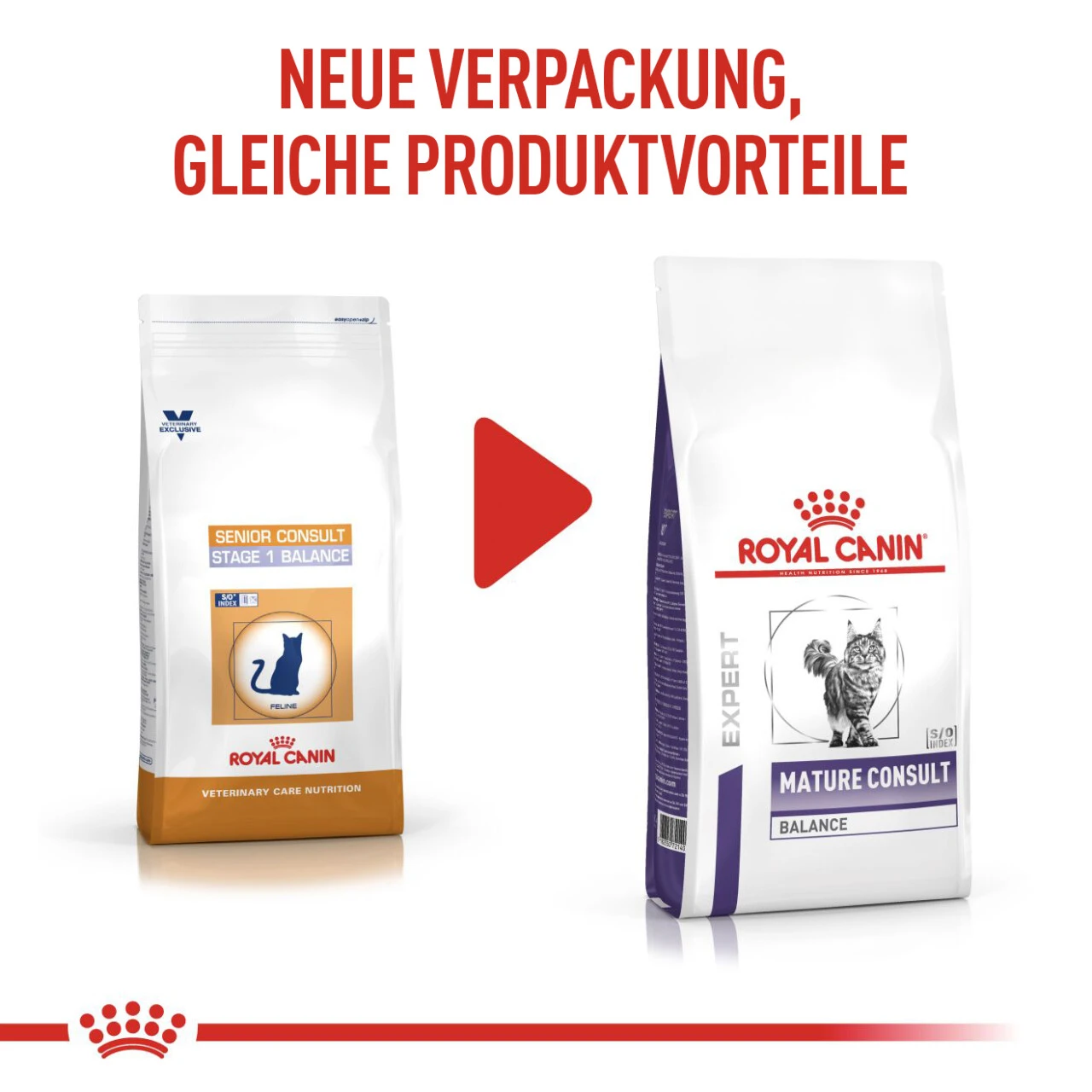 Royal Canin Expert Mature Consult Balance Trockenfutter Für Katzen 2 Royal Canin Expert Mature Consult Balance Trockenfutter Für Katzen – Bild 2