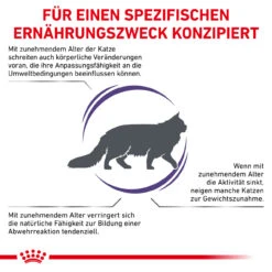 Royal Canin Expert Mature Consult Balance Trockenfutter Für Katzen 12 Royal Canin Expert Mature Consult Balance Trockenfutter Für Katzen -Geschäft Für Tierbedarf royal canin mature consult balance trocken katze3
