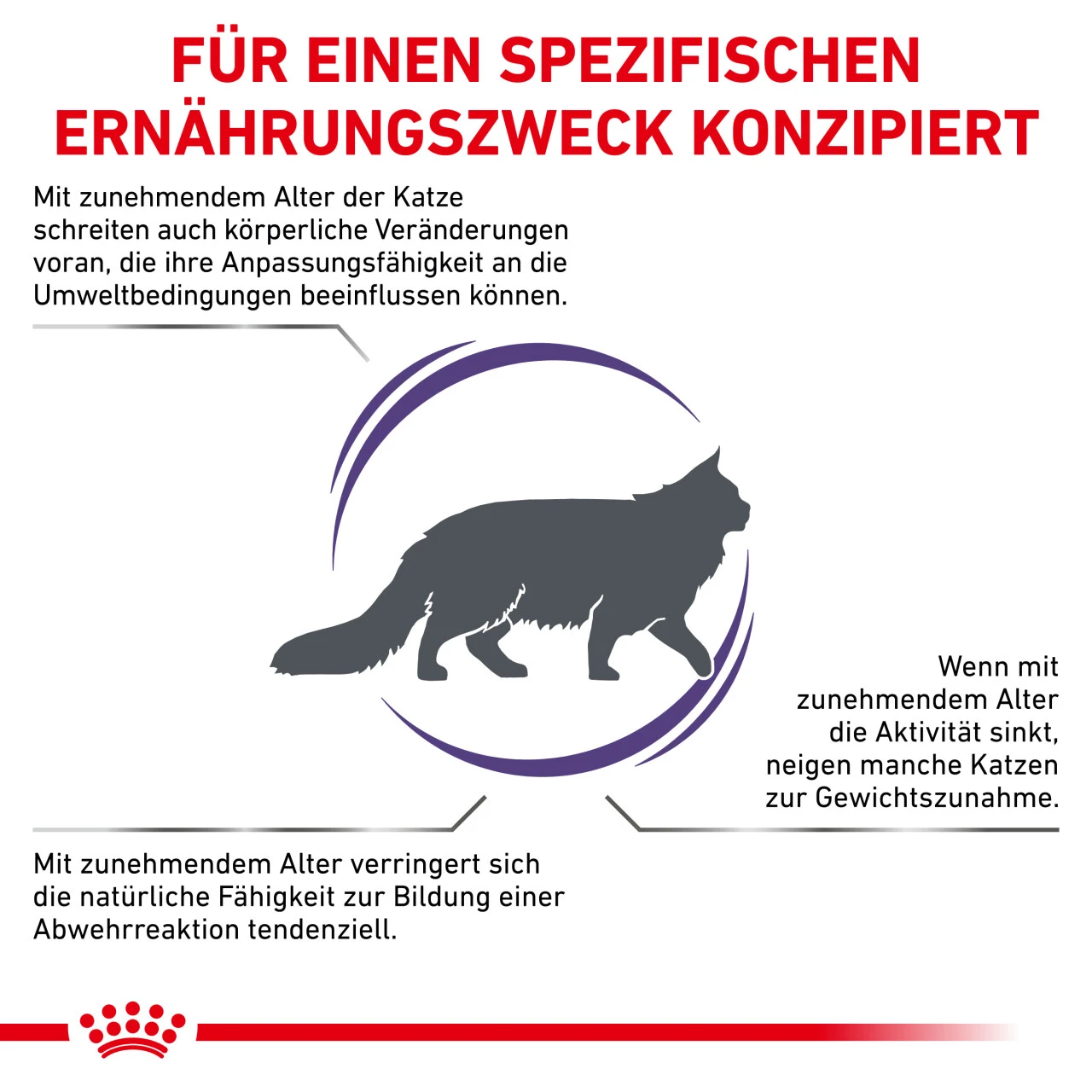 Royal Canin Expert Mature Consult Balance Trockenfutter Für Katzen 3 Royal Canin Expert Mature Consult Balance Trockenfutter Für Katzen – Bild 3