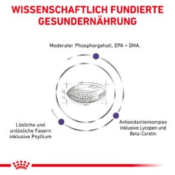 Royal Canin Expert Mature Consult Balance Trockenfutter Für Katzen 13 Royal Canin Expert Mature Consult Balance Trockenfutter Für Katzen -Geschäft Für Tierbedarf royal canin mature consult balance trocken katze4