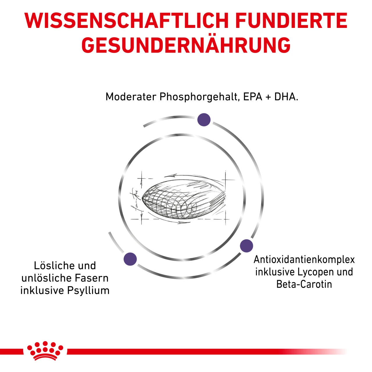 Royal Canin Expert Mature Consult Balance Trockenfutter Für Katzen 4 Royal Canin Expert Mature Consult Balance Trockenfutter Für Katzen – Bild 4