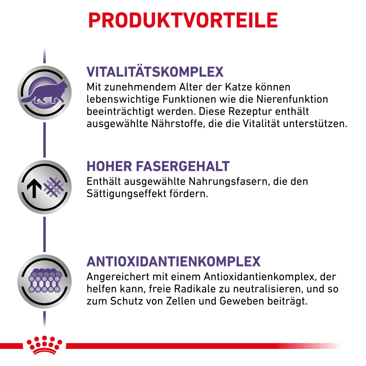 Royal Canin Expert Mature Consult Balance Trockenfutter Für Katzen 5 Royal Canin Expert Mature Consult Balance Trockenfutter Für Katzen – Bild 5