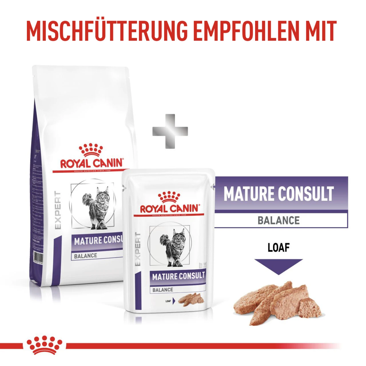 Royal Canin Expert Mature Consult Balance Trockenfutter Für Katzen 9 Royal Canin Expert Mature Consult Balance Trockenfutter Für Katzen – Bild 9