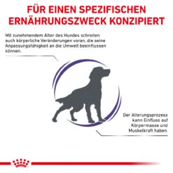 Royal Canin Expert Mature Consult Medium Dogs Trockenfutter Für Hunde -Geschäft Für Tierbedarf royal canin mature consult medium dogs hund3