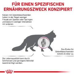 Royal Canin Mobility Trockenfutter Für Katzen -Geschäft Für Tierbedarf royal canin mobility katze5