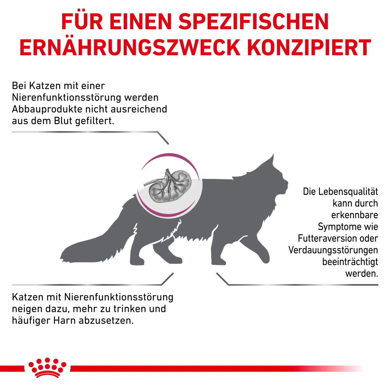 Royal Canin Renal Special Trockenfutter Für Katzen 5 Royal Canin Renal Special Trockenfutter Für Katzen – Bild 5
