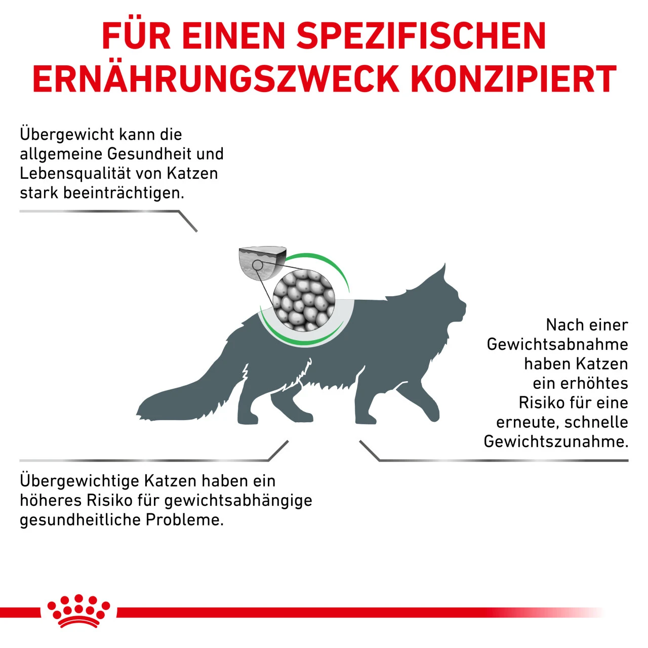 Royal Canin Satiety Weight Management Trockenfutter Für Katzen 4 Royal Canin Satiety Weight Management Trockenfutter Für Katzen – Bild 4