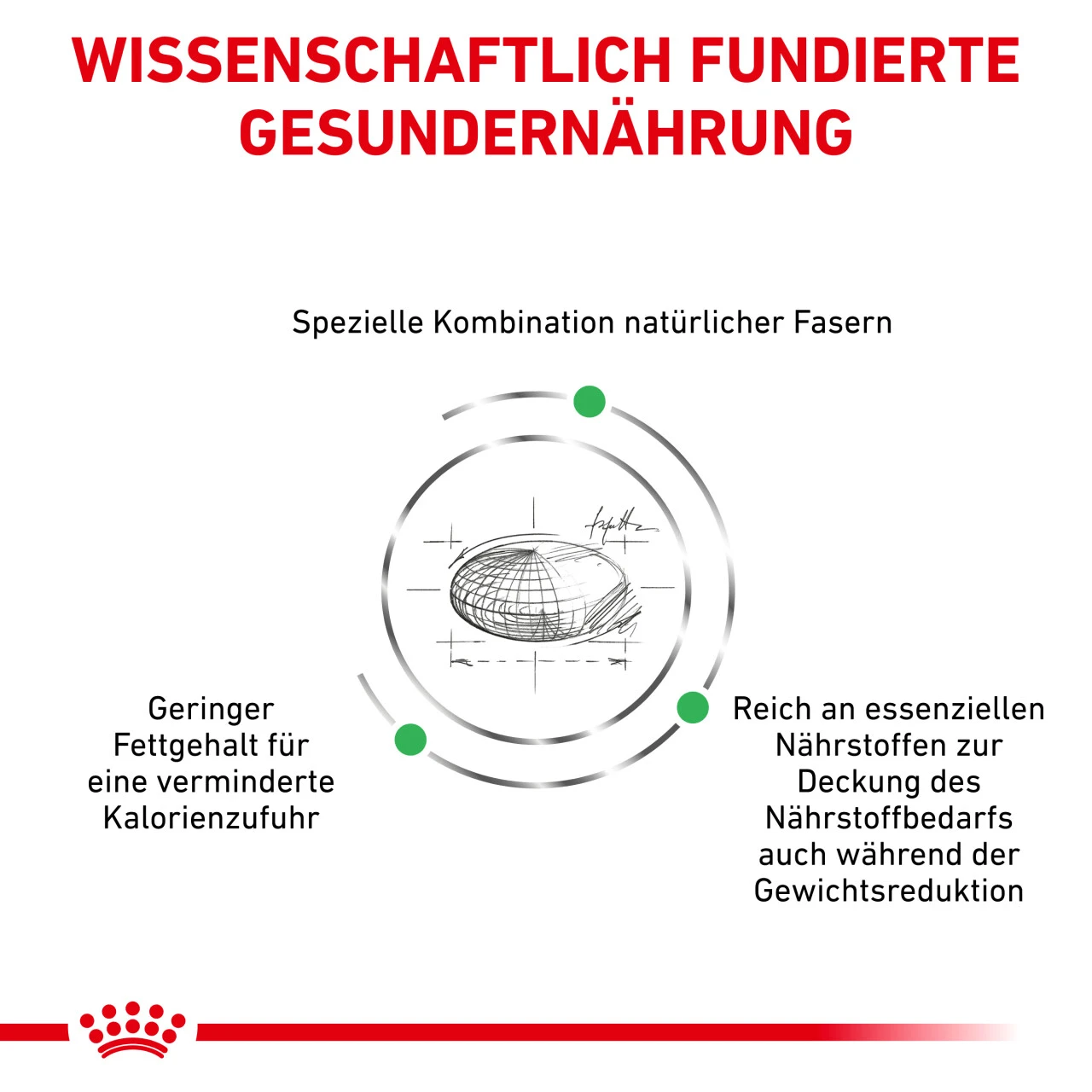Royal Canin Satiety Weight Management Trockenfutter Für Katzen 5 Royal Canin Satiety Weight Management Trockenfutter Für Katzen – Bild 5