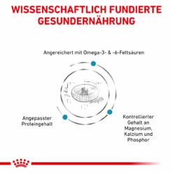 Royal Canin Skin & Coat Trockenfutter Für Katzen 10 Royal Canin Skin & Coat Trockenfutter Für Katzen -Geschäft Für Tierbedarf royal canin skin coat trocken katze3