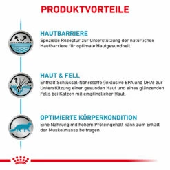 Royal Canin Skin & Coat Trockenfutter Für Katzen 11 Royal Canin Skin & Coat Trockenfutter Für Katzen -Geschäft Für Tierbedarf royal canin skin coat trocken katze4