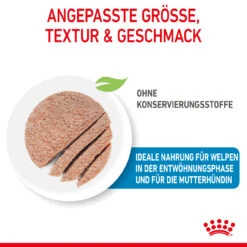 Royal Canin Starter Mousse Mother & Babydog Nassfutter Für Hunde -Geschäft Für Tierbedarf royal canin starter mousse mother babydog hund4