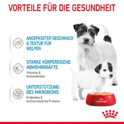 Royal Canin Starter Mousse Mother & Babydog Nassfutter Für Hunde -Geschäft Für Tierbedarf royal canin starter mousse mother babydog hund5