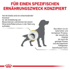 Royal Canin Urinary S/O Ageing 7+ Trockenfutter Für Hunde -Geschäft Für Tierbedarf royal canin urinary s o ageing 7 trocken hund5
