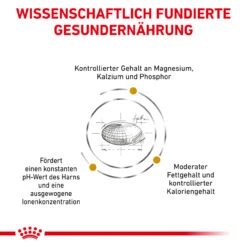 Royal Canin Urinary S/O Moderate Calorie Trockenfutter Für Katzen -Geschäft Für Tierbedarf royal canin urinary s o moderate calorie trocken katze5