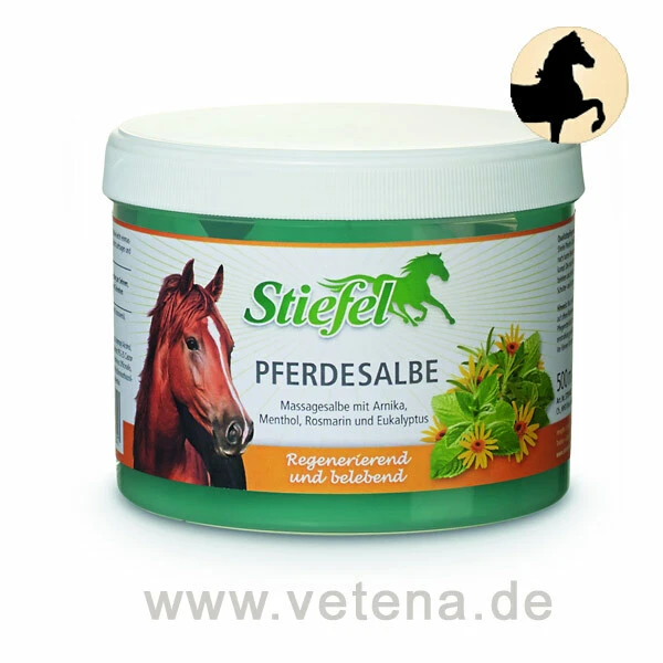 Stiefel Pferdesalbe 1 Stiefel Pferdesalbe