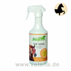 Stiefel Top Shine
