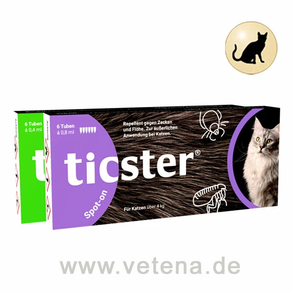 DECHRA Ticster Spot-on Für Katzen 1 DECHRA Ticster Spot-on Für Katzen