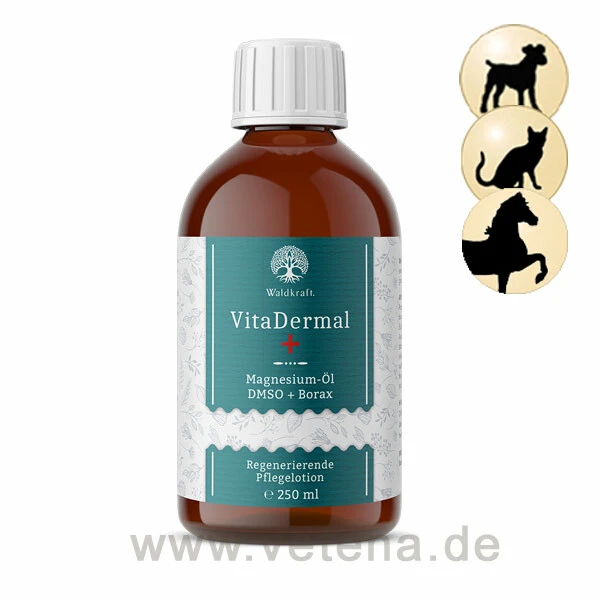 VitaDermal - Magnesium-Öl + DMSO + Borax 1 VitaDermal - Magnesium-Öl + DMSO + Borax